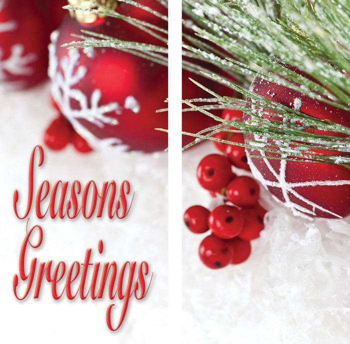 Snow & Berries Double Vinyl Banner Set Dekra-Lite