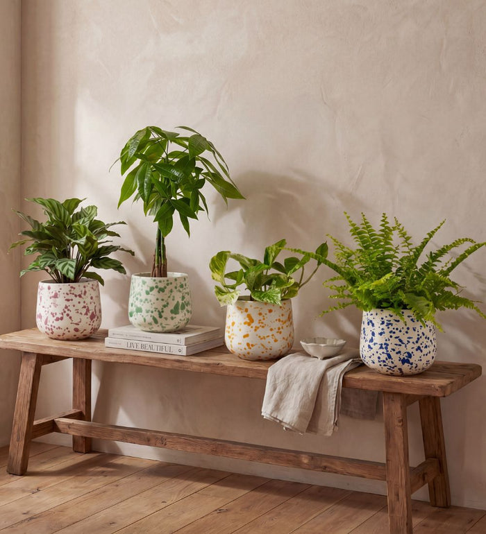 Splatter Pot x Hot Pottery Blue