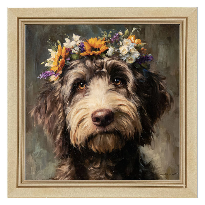 Spring Season Black Labradoodle