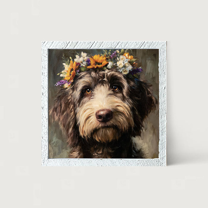 Spring Season Black Labradoodle
