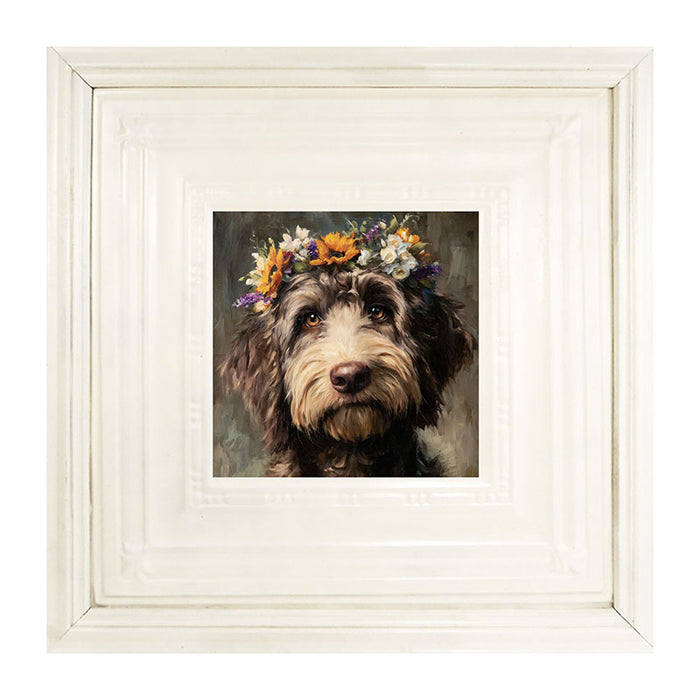 Spring Season Black Labradoodle