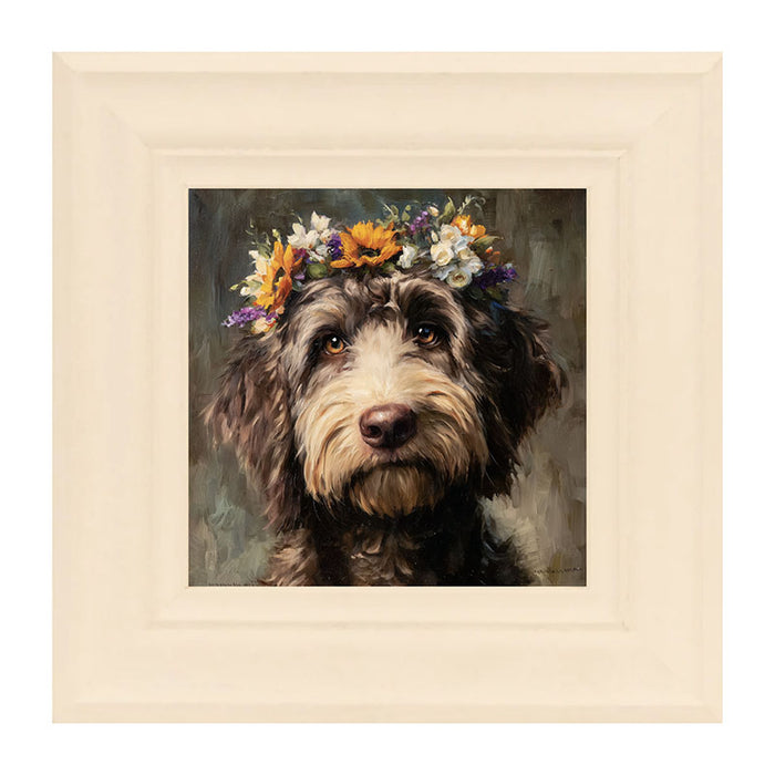 Spring Season Black Labradoodle