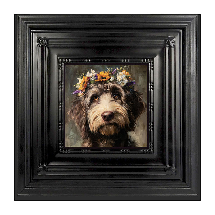 Spring Season Black Labradoodle
