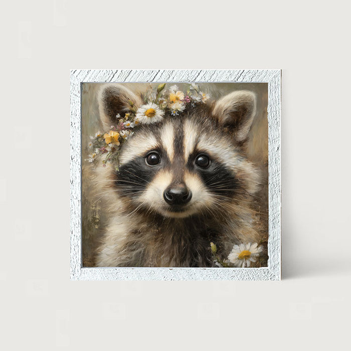 Spring Season Raccoon