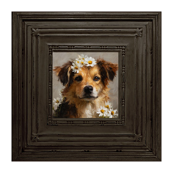 Spring Season Tan Dog