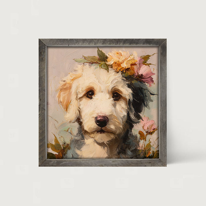 Spring Season White Labradoodle