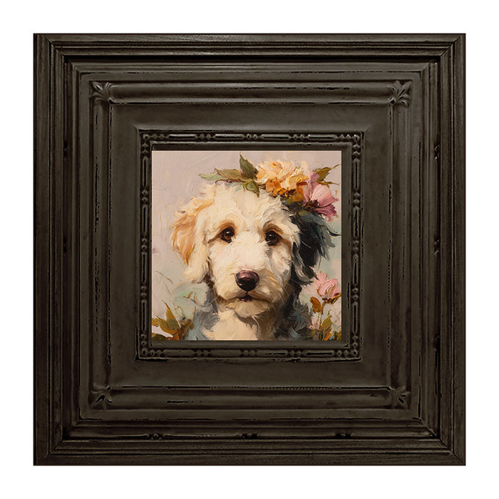 Spring Season White Labradoodle
