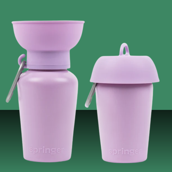 Springland Flip Travel Water Bottle 20oz
