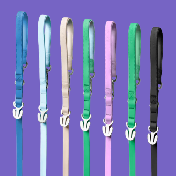 Springland Waterproof Leash