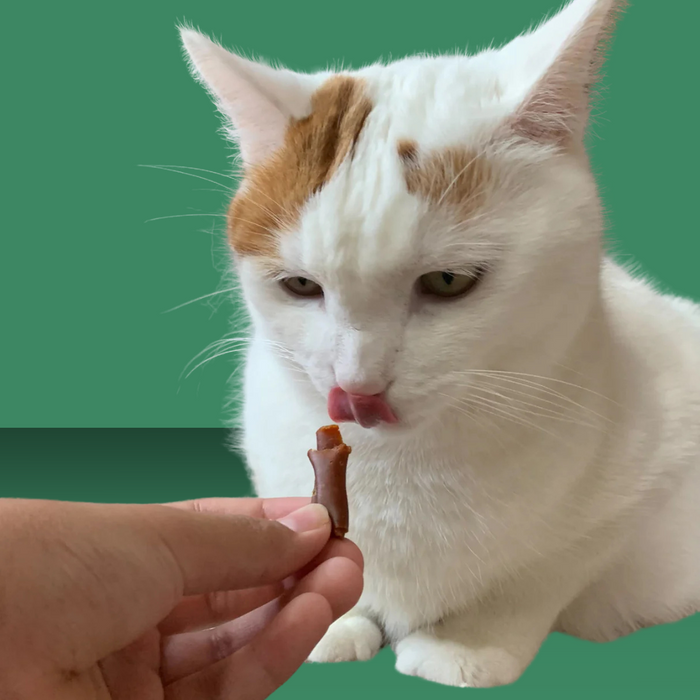 Stashios Wrap Ups Bacon