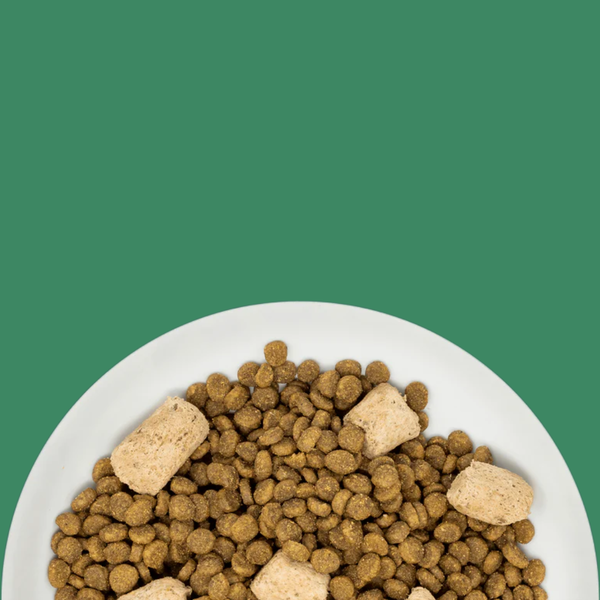 Stella & Chewy's Cat Raw Blend Poultry 2.5# N
