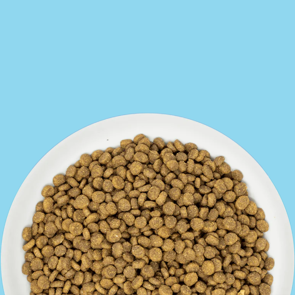 Stella & Chewy's Cat Raw Coated Kibble Chicken 2.5#