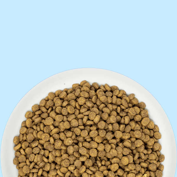 Stella & Chewy's Cat Raw Coated Kibble Duck 5#