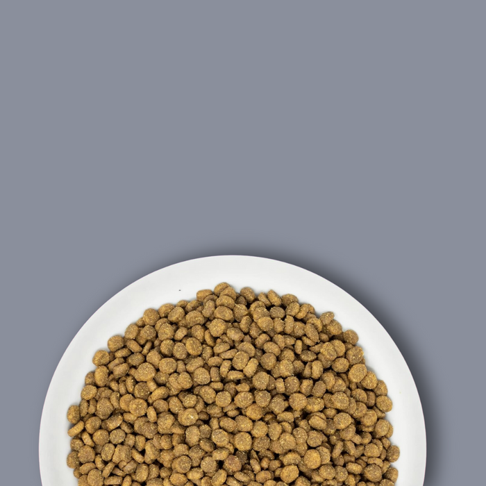 Stella & Chewy's Cat Raw Coated Kibble Kitten Chicken 2.5#