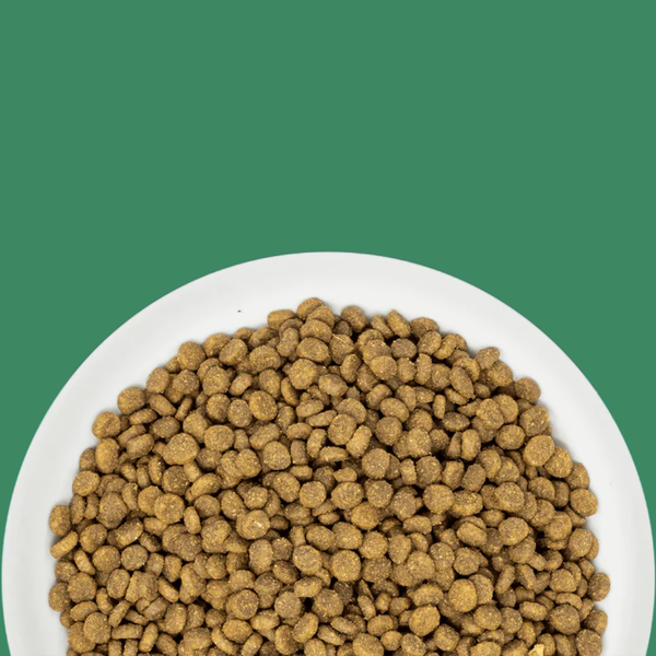 Stella & Chewy's Cat Raw Coated Kibble Salmon 5#