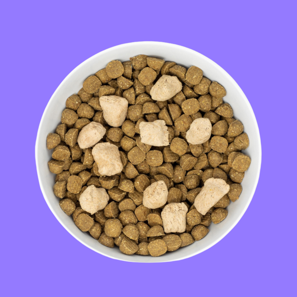Stella & Chewy's Raw Blend Red Meat 10# S