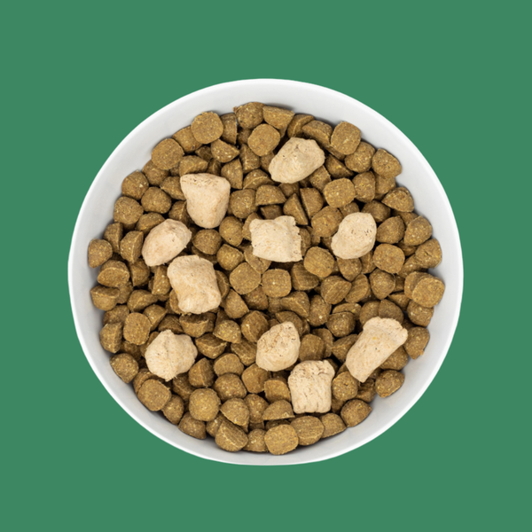 Stella & Chewy's Raw Blend Small Breed Red Meat 10#