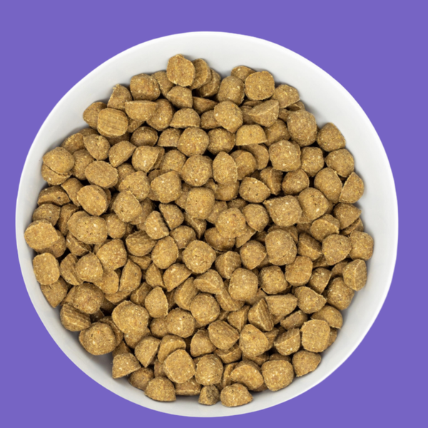 Stella & Chewy's Raw Coated Beef 22#