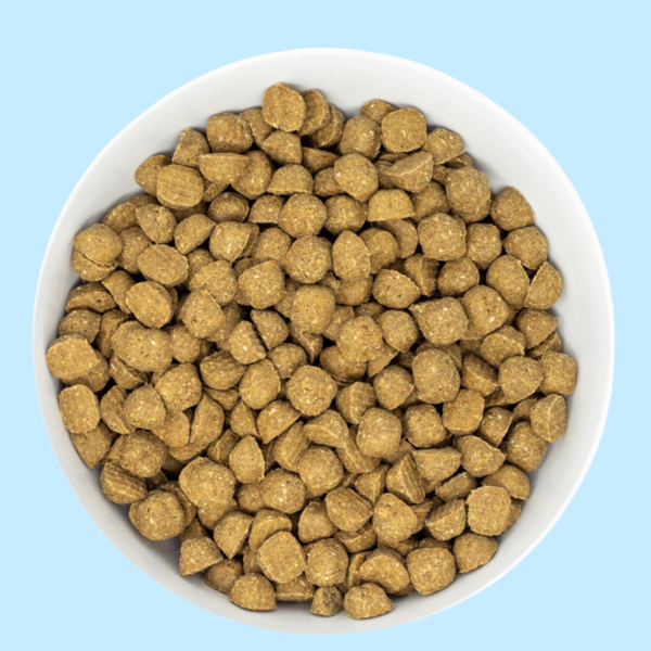 Stella & Chewy's Raw Coated Chicken 10# N