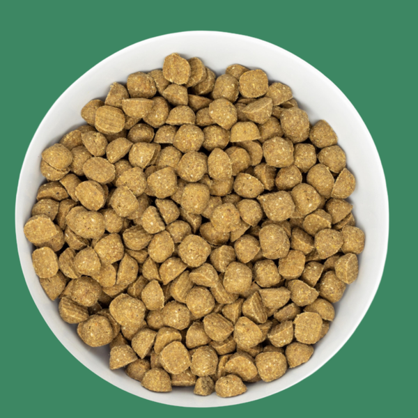 Stella & Chewy's Raw Coated Puppy Chicken 22#