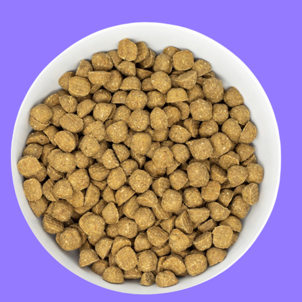 Stella & Chewy's Raw Coated Small Breed Chicken 3.5#