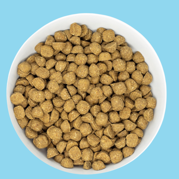 Stella & Chewy's Raw Coated Whitefish 22#