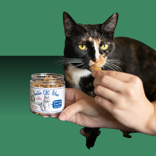 Suzie's CBD Bites for Cats Chicken & Tuna 1/2mg 100 Pack