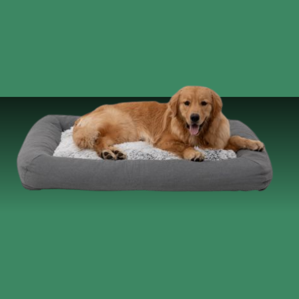 Tall Tails All In One Bed Grey Large