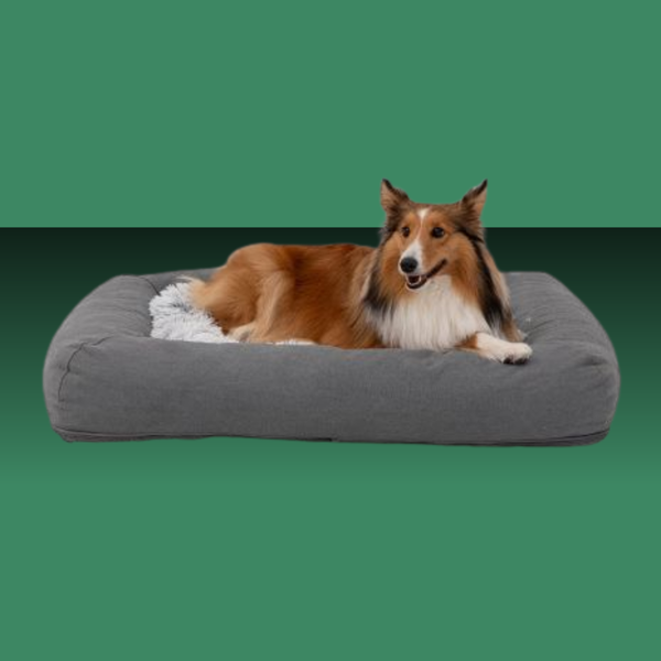 Tall Tails All In One Bed Grey Medium