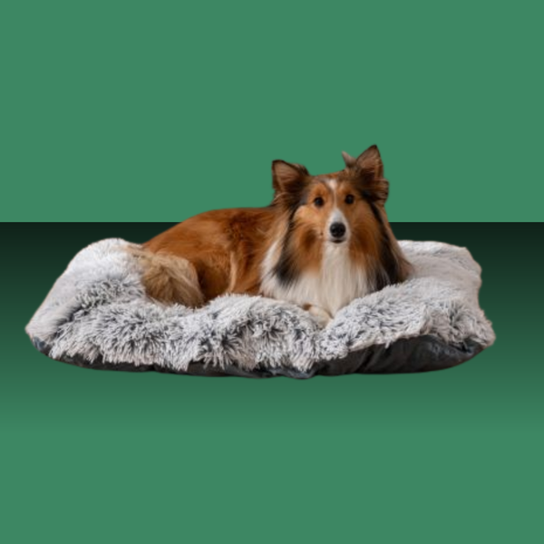 Tall Tails All In One Bed Grey Medium