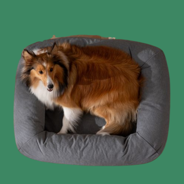 Tall Tails All In One Bed Grey Medium
