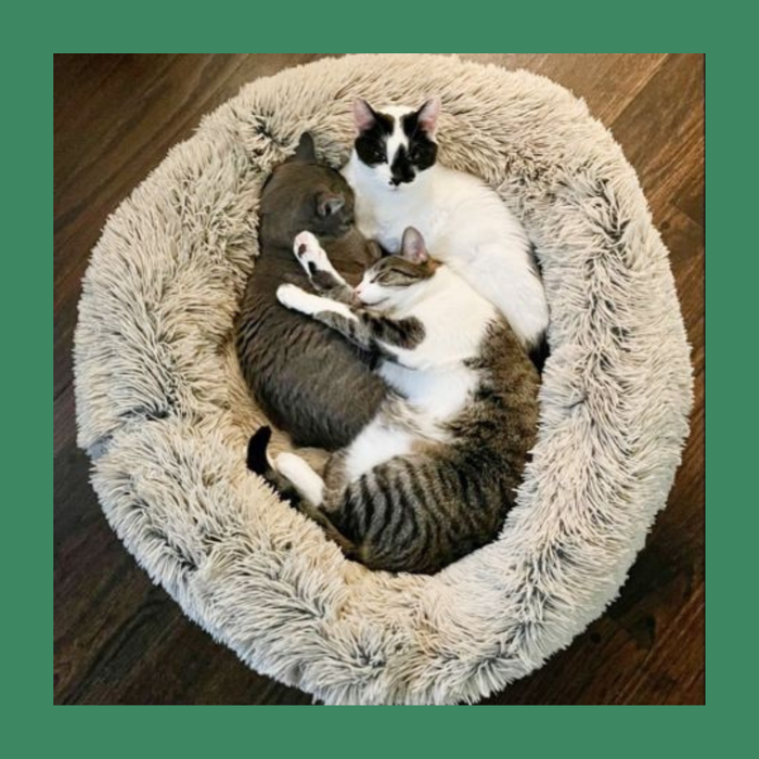 Tall Tails Cuddle Bed Frosted Gray M