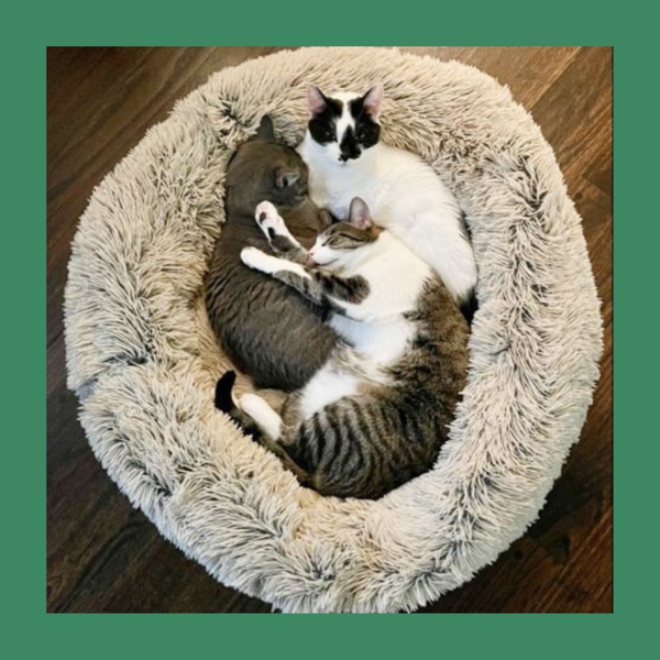 Tall Tails Cuddle Bed Frosted Gray S