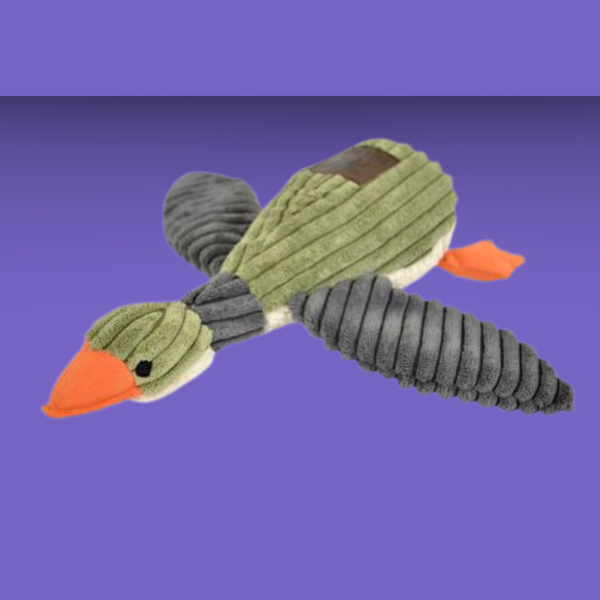 Tall Tails Duck Sage 12"