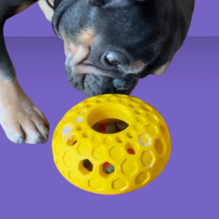 Tall Tails Enrichment Rubber Bee Hive 4"