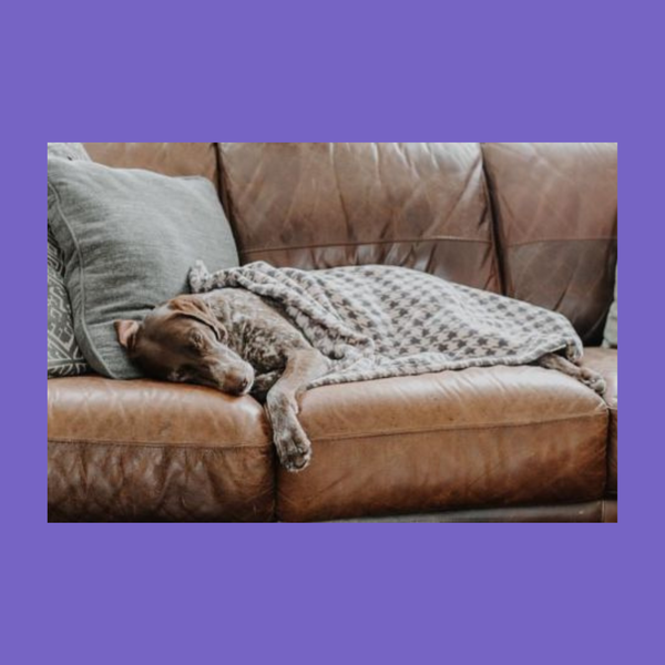 Tall Tails Fleece Throw Houndstooth 40x60"