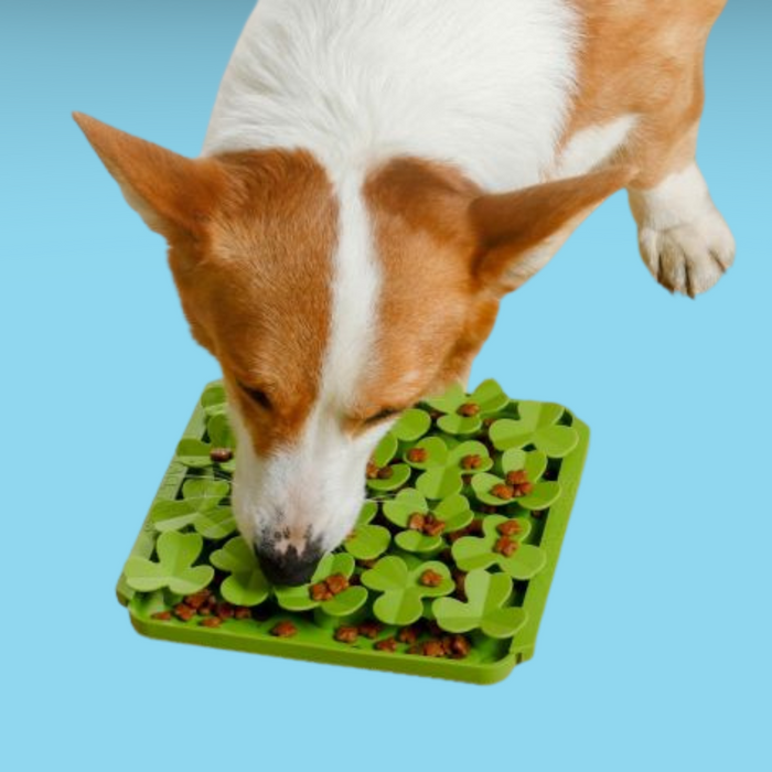 Tall Tails Foraging Mat Clover
