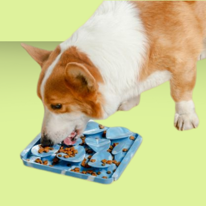 Tall Tails Foraging Mat Rock