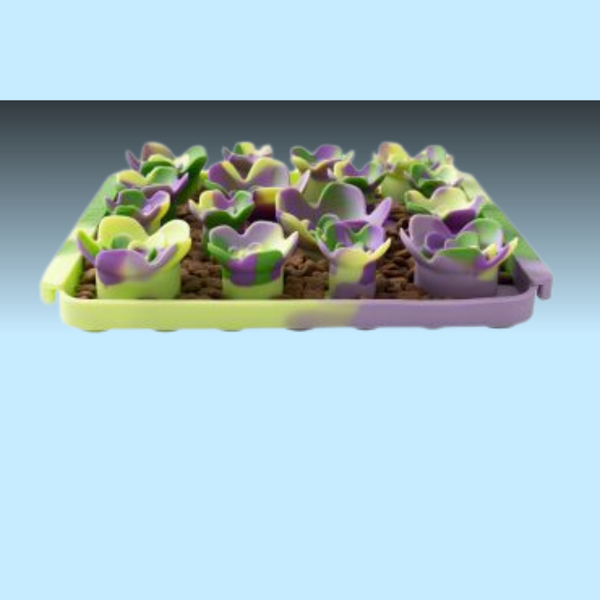 Tall Tails Foraging Mat Succulent Garden