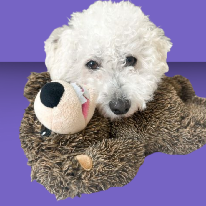 Tall Tails Plush Rope Grizzly 14"