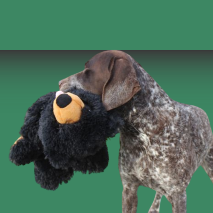 Tall Tails Plush Stuffless Black Bear 20"