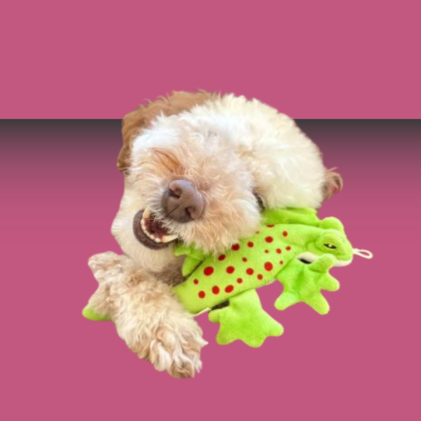 Tall Tails Plush Stuffless Lizard 8"