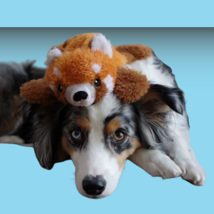 Tall Tails Plush Stuffless Red Panda 16"
