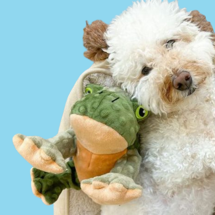 Tall Tails Twitchy Frog 9"