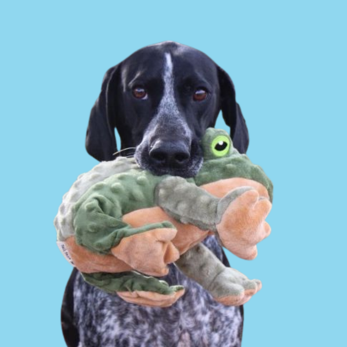 Tall Tails Twitchy Frog 9"
