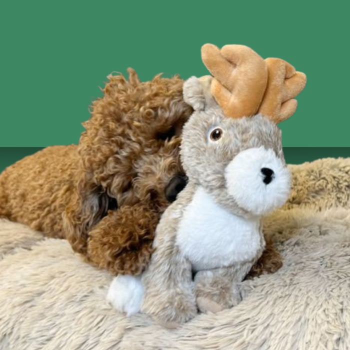 Tall Tails Twitchy Jackalope 9"