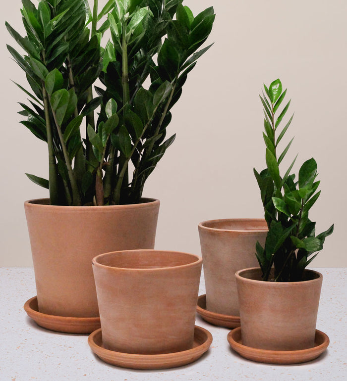 Terracotta Pot With Saucer