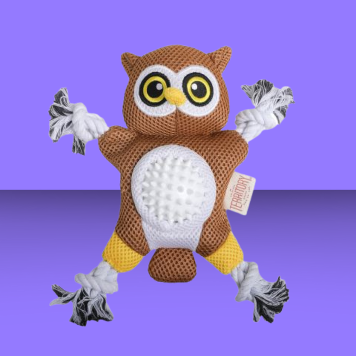 Territory 2-in-1 Owl