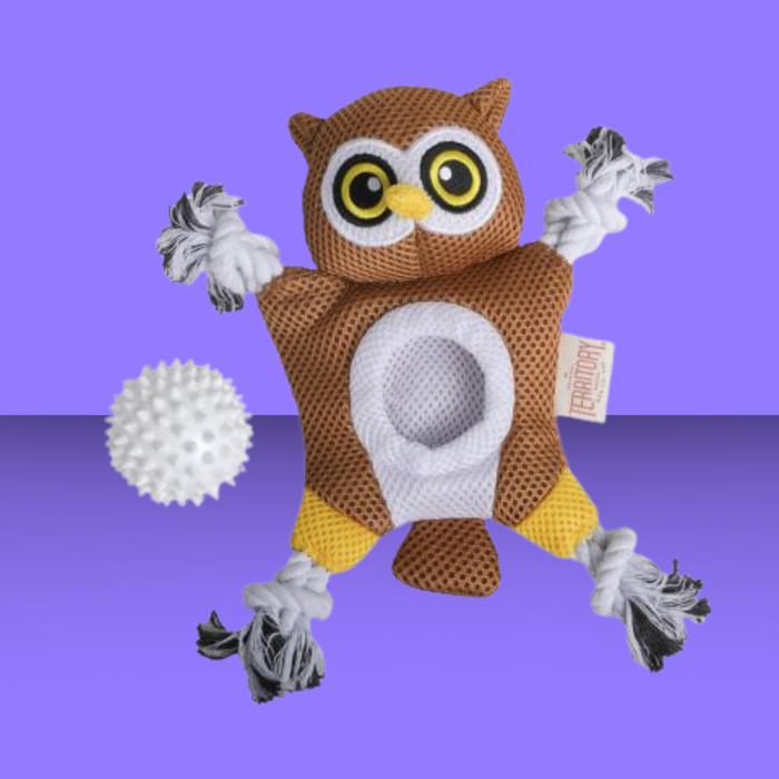 Territory 2-in-1 Owl