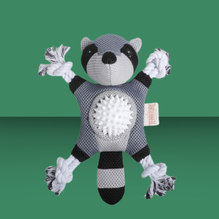 Territory 2-in-1 Racoon